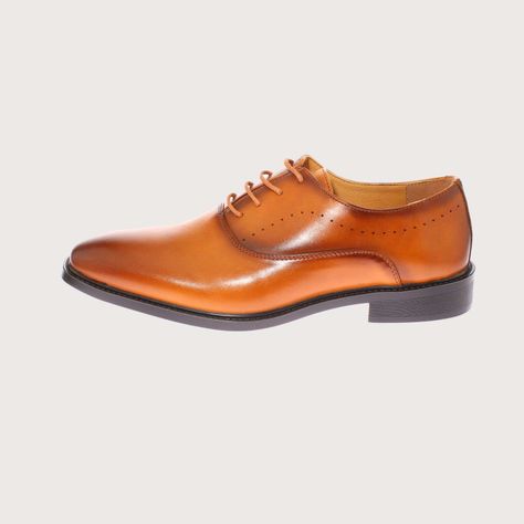 Zapato Café Claro Vía Franca Hombre Art: 8L807CAMEL-1