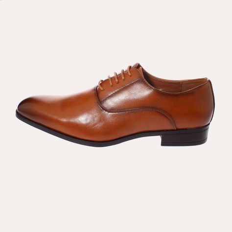 Zapato Café Vía Franca Hombre Art: 8PLX10642BBROWN-1