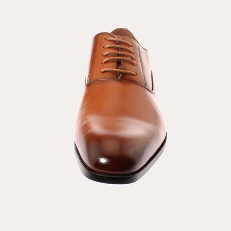Zapato Café Vía Franca Hombre Art: 8PLX10642BBROWN-2