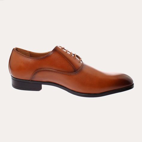 Zapato Café Vía Franca Hombre Art: 8PLX10642BBROWN-3