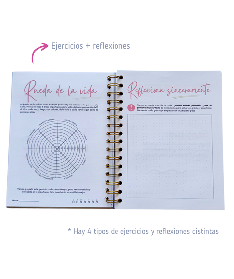 Cuaderno De Gratitud -90 Días Para Transformar Tu Mentalidad-4