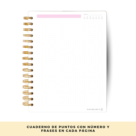 Cuaderno de notas / hojas con puntos -2