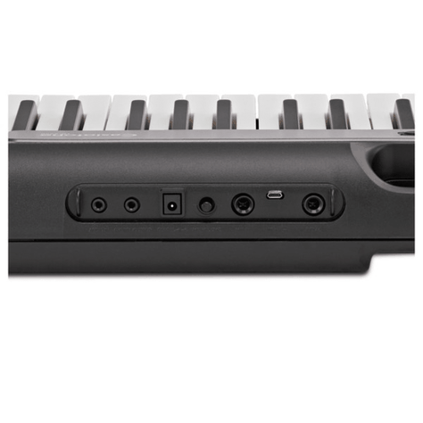 Teclado De 61 Teclas Iluminadas Casio LKS250-2