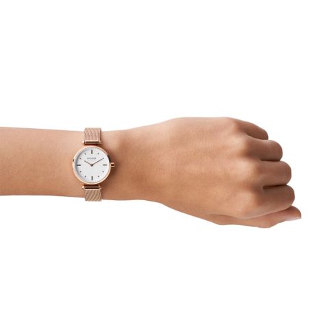 Reloj Skagen Mujer SKW2955-3