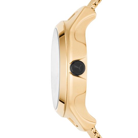 Reloj Puma Hombre P5006-1