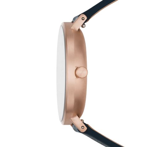 Reloj Skagen Mujer SKW2972-1