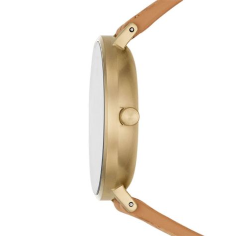 Reloj Skagen Mujer SKW2974-1