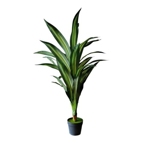 Planta Artificial Dracaena, Diseño Realista 120 Cm Altura-0