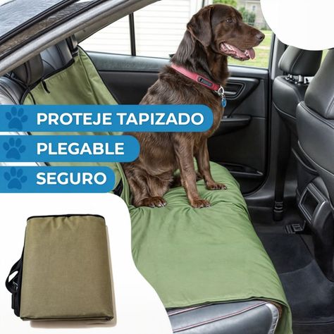 Funda cubre asiento mascotas auto cobertor perro auto verde-2