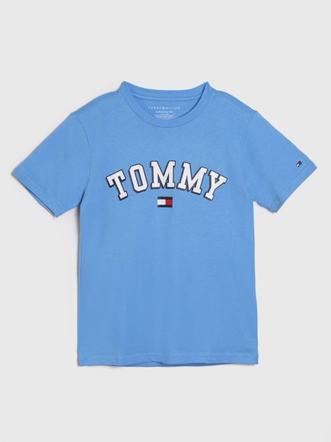 Polera Con Logo Circular Celeste Tommy Hilfiger-0