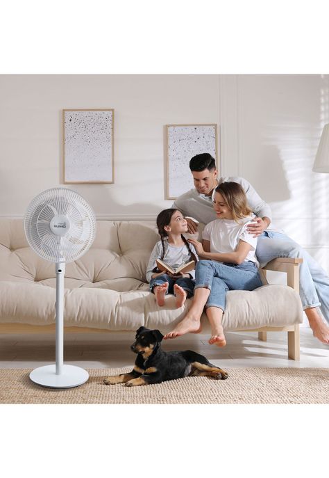 Ventilador silencioso con control remoto de pie VP-88 Sumo-5