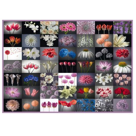 Puzzle 2.000 piezas Flores-1