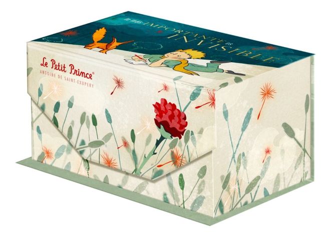 Caja Super Lujo Notas Escritorio EL PRINCIPITO-0