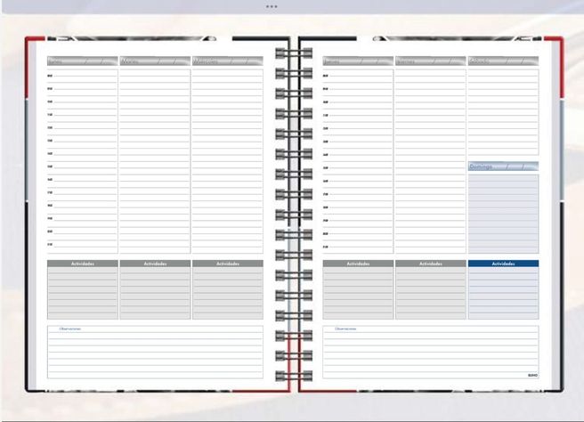Agenda Buho Profesor 2025 Cuero + Calendario Escritorio 2025-2