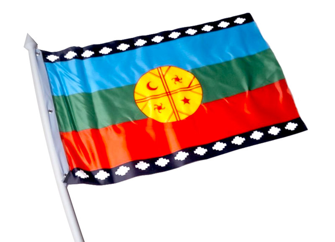 Bandera Mapuche 90 x 150 cm -0