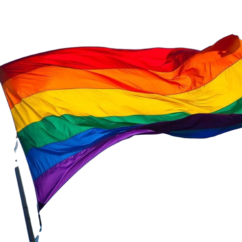 Bandera Arcoiris Orgullo 60x90 Cms Diversidad Lgbtq+-0