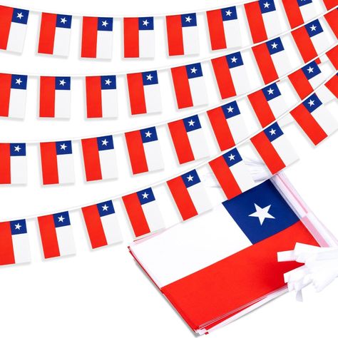 Guirnalda De Tela 20 Banderines Chilena 7 Mt Largo-0