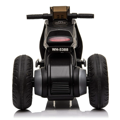 Motocicleta Negra Eléctrica de 3 Ruedas Doble Driv-1