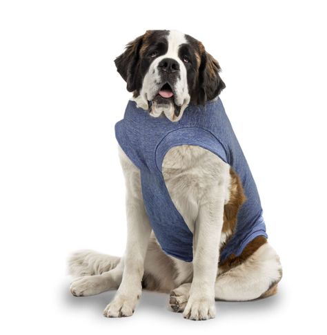 Body de cobre azul para perros talla 11, 12 y 13-0