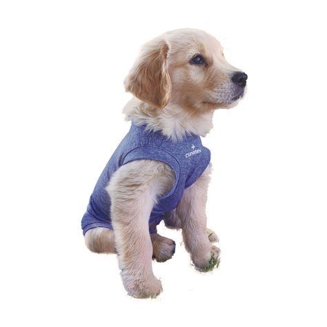 Body de cobre azul para perros talla 2, 3 y 4-0