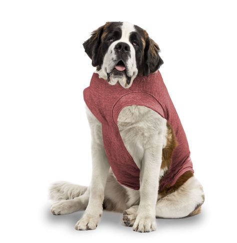 Body de cobre rojo para perros talla 14 y 15-0