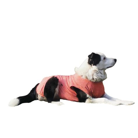 Body de cobre rojo para perros talla 8, 9 y 10-0