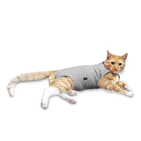 Body de cobre gris para gatos talla 2, 3 y 4-0