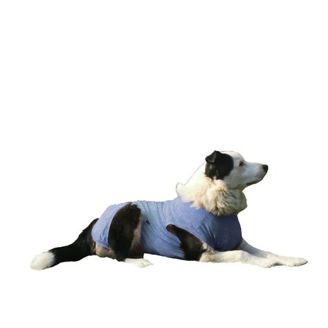 Body de cobre azul para perros talla 8, 9 y 10-0