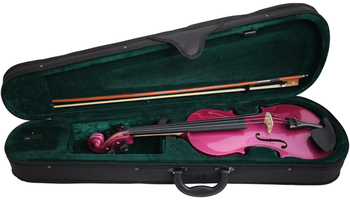 Violín Livorno Color Purpura 4/4 LIV-20PU-3