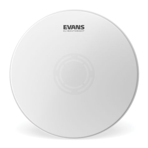 Parche 13¨ HEAVYWEIGHT CTD Evans-0