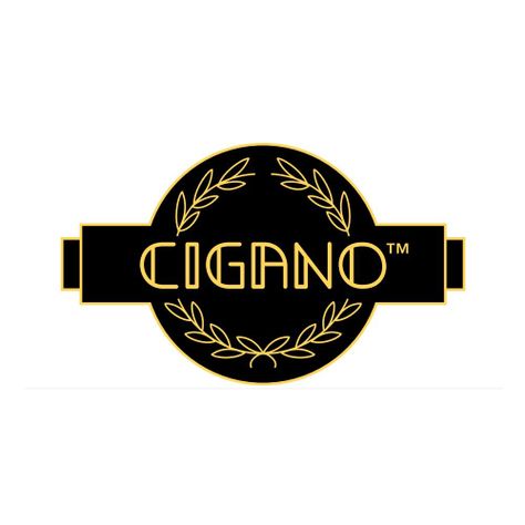 Guitarra Gypsy Jazz Cigano GJ-10-1