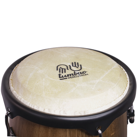 Set conga 10x11xH28'' café madera + stand-2