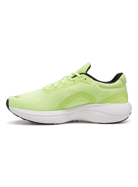 Zapatilla Running Hombre Scend Pro-1