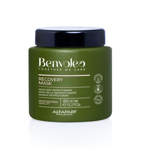 BENVOLEO Alfaparf Recovery - Mask 450ml-1