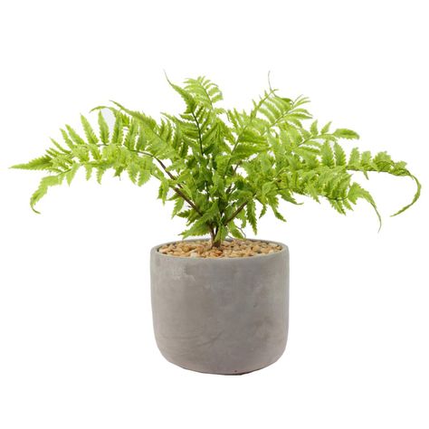 Planta Decorativa Helecho Inés 36 CM con Macetero-0