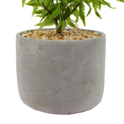 Planta Decorativa Helecho Inés 36 CM con Macetero-4