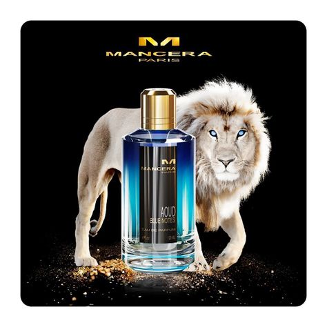 Mancera Aoud Blue Notas 120 Ml Edp  -2