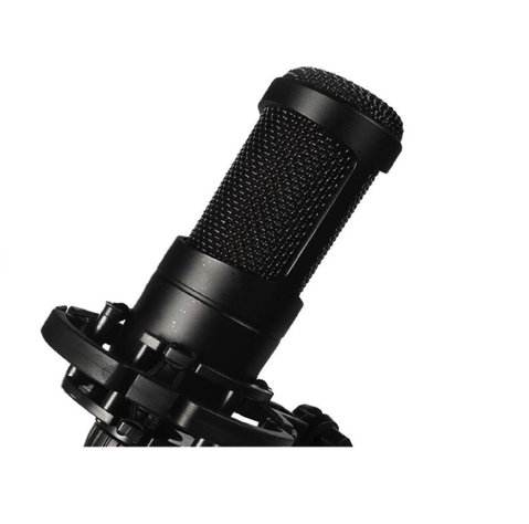Microfono Condensador Profesional-1