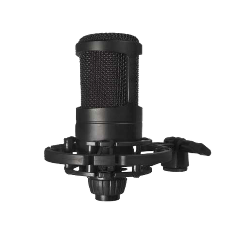 Microfono Condensador Profesional-2