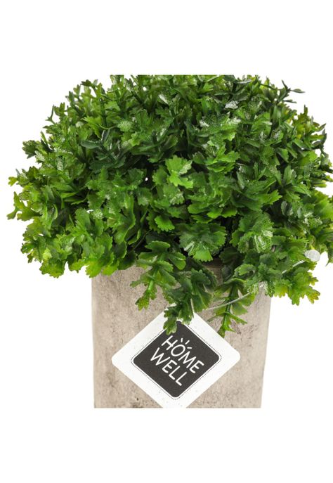 Planta  Artificial Boj Japonico 12*12cm-2