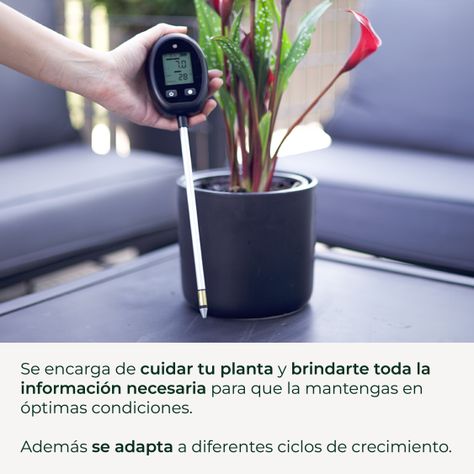Medidor de Tierra 5 en 1 Plantme-4