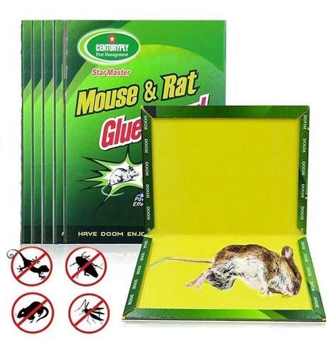 Trampa Para Raton Adhesiva Mouse & Rat-2