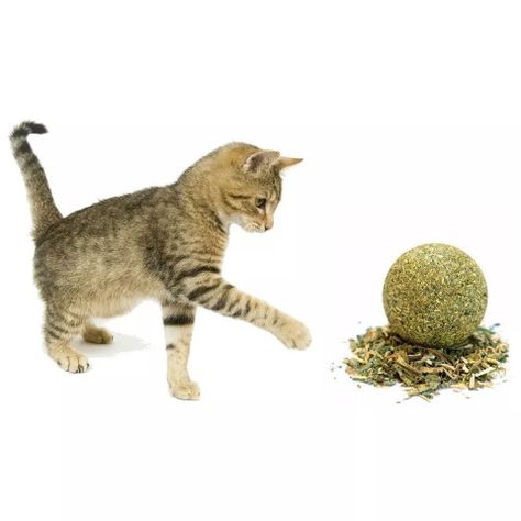 Pack x3 Bola Compacta Hierba Gatera Prensada Para Gatos-3