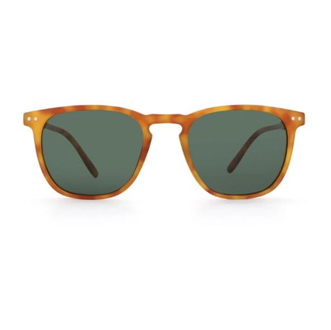 Lentes Sol Filtro Uv Cat3 Polarizado Original Unisex Wellington-0