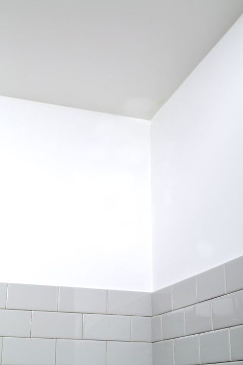 Fondo Eliminador de Hongo y Moho 946ml Blanco Zinsser-6