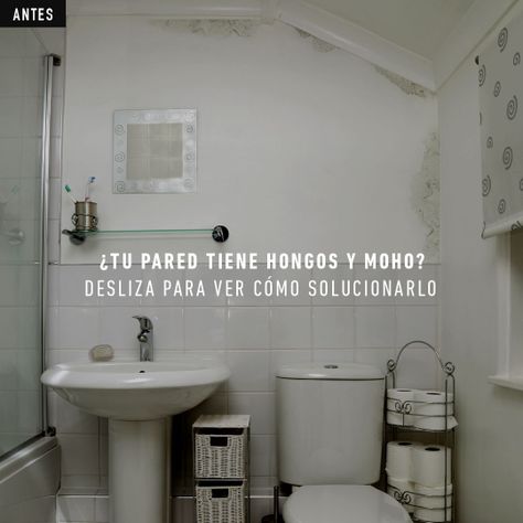 Fondo Eliminador de Hongo y Moho 946ml Blanco Zinsser-1