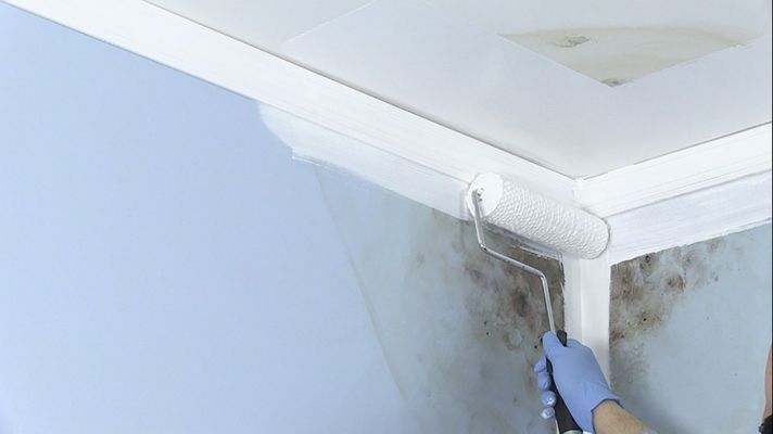 Fondo Eliminador de Hongo y Moho 946ml Blanco Zinsser-3