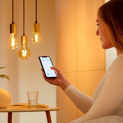 Wiz Ampolleta Led E27 Vintage Smart Wifi Edison 6.9w 640lm-3