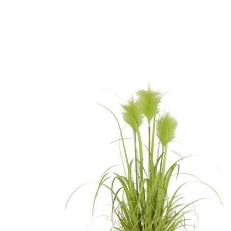 Grass chascón pluma verde 81 cm-1