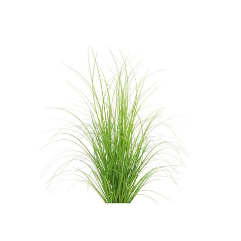 Grass normal chascón 69 cm-1